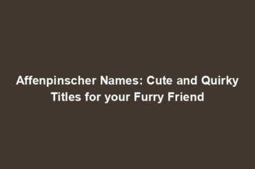 Affenpinscher Names: Cute and Quirky Titles for your Furry Friend