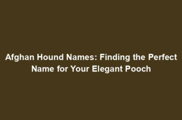 Afghan Hound Names: Finding the Perfect Name for Your Elegant Pooch