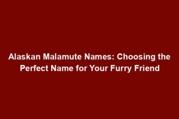 Alaskan Malamute Names: Choosing the Perfect Name for Your Furry Friend