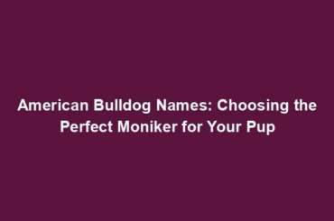 American Bulldog Names: Choosing the Perfect Moniker for Your Pup