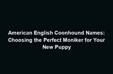 American English Coonhound Names: Choosing the Perfect Moniker for Your New Puppy