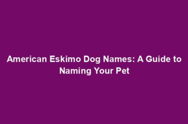 American Eskimo Dog Names: A Guide to Naming Your Pet