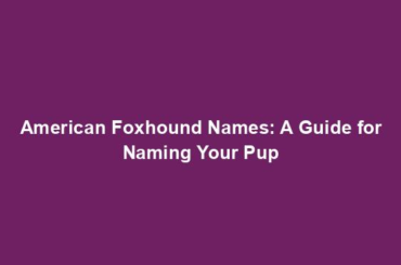 American Foxhound Names: A Guide for Naming Your Pup