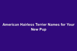 American Hairless Terrier Names for Your New Pup