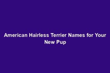 American Hairless Terrier Names for Your New Pup