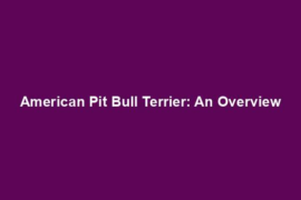 American Pit Bull Terrier: An Overview