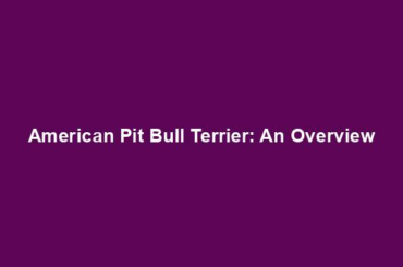 American Pit Bull Terrier: An Overview