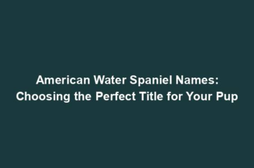 American Water Spaniel Names: Choosing the Perfect Title for Your Pup