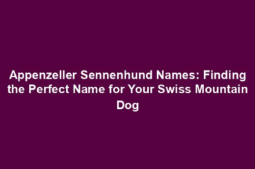 Appenzeller Sennenhund Names: Finding the Perfect Name for Your Swiss Mountain Dog