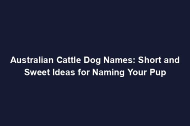 Australian Cattle Dog Names: Short and Sweet Ideas for Naming Your Pup