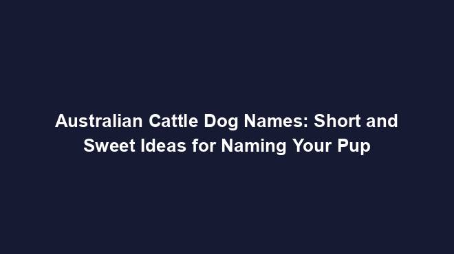 Australian Cattle Dog Names: Short and Sweet Ideas for Naming Your Pup