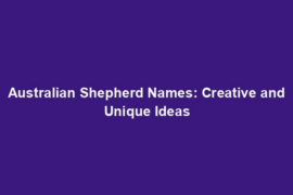 Australian Shepherd Names: Creative and Unique Ideas
