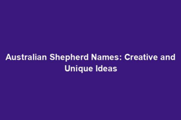 Australian Shepherd Names: Creative and Unique Ideas