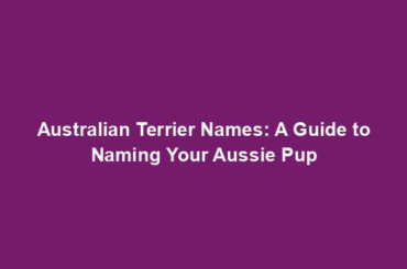 Australian Terrier Names: A Guide to Naming Your Aussie Pup