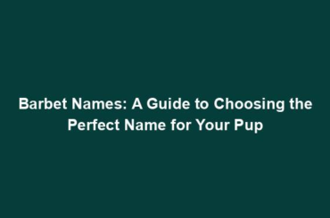 Barbet Names: A Guide to Choosing the Perfect Name for Your Pup