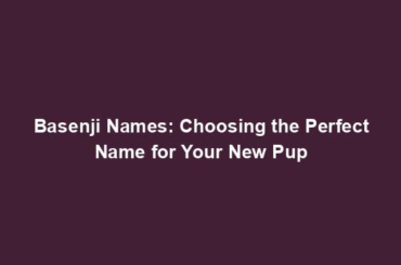 Basenji Names: Choosing the Perfect Name for Your New Pup