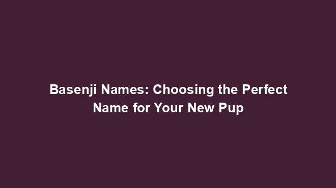 Basenji Names: Choosing the Perfect Name for Your New Pup