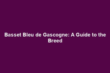 Basset Bleu de Gascogne: A Guide to the Breed