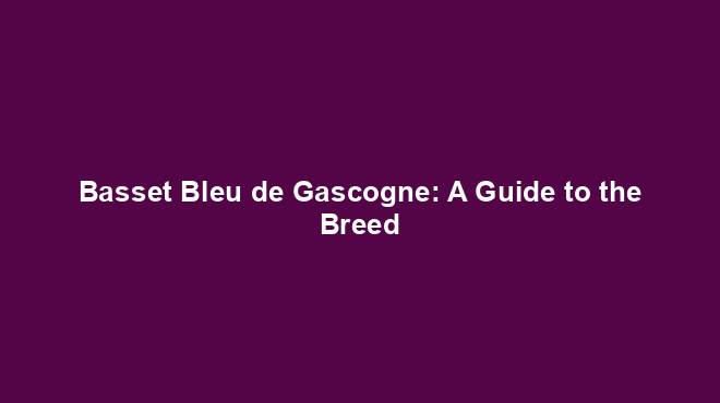 Basset Bleu de Gascogne: A Guide to the Breed