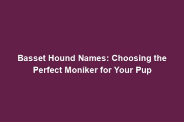 Basset Hound Names: Choosing the Perfect Moniker for Your Pup