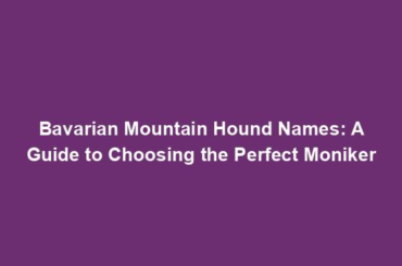 Bavarian Mountain Hound Names: A Guide to Choosing the Perfect Moniker