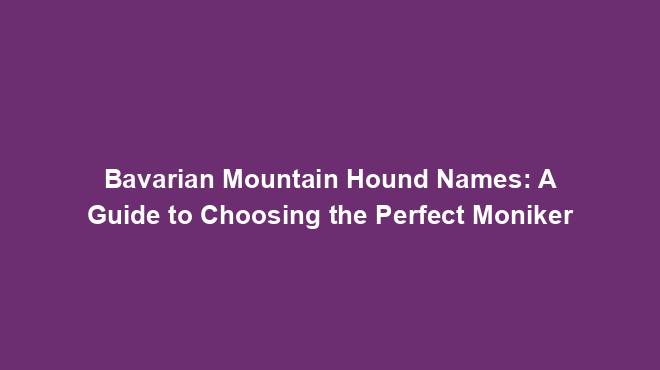 Bavarian Mountain Hound Names: A Guide to Choosing the Perfect Moniker