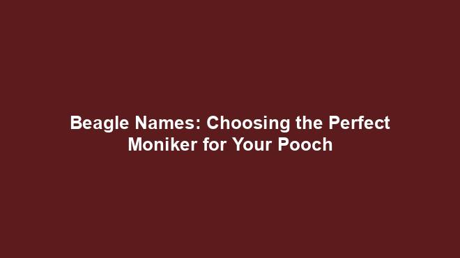 Beagle Names: Choosing the Perfect Moniker for Your Pooch