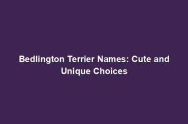 Bedlington Terrier Names: Cute and Unique Choices