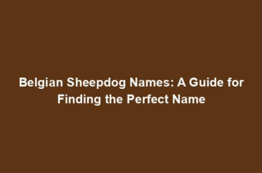 Belgian Sheepdog Names: A Guide for Finding the Perfect Name