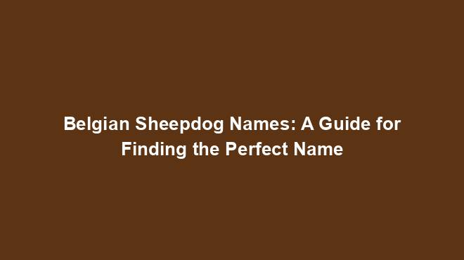 Belgian Sheepdog Names: A Guide for Finding the Perfect Name