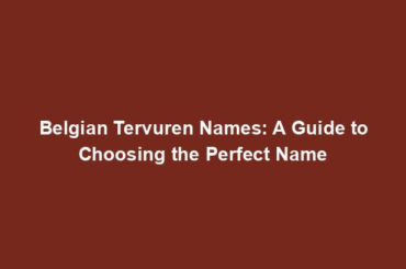 Belgian Tervuren Names: A Guide to Choosing the Perfect Name