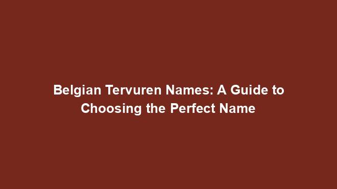 Belgian Tervuren Names: A Guide to Choosing the Perfect Name
