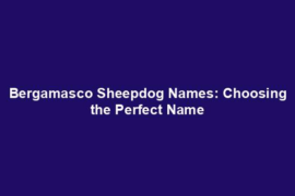 Bergamasco Sheepdog Names: Choosing the Perfect Name