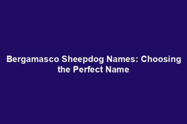 Bergamasco Sheepdog Names: Choosing the Perfect Name