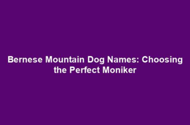 Bernese Mountain Dog Names: Choosing the Perfect Moniker