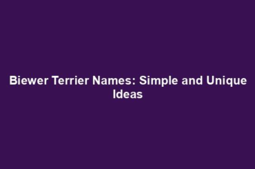 Biewer Terrier Names: Simple and Unique Ideas