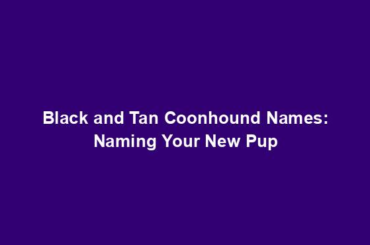 Black and Tan Coonhound Names: Naming Your New Pup