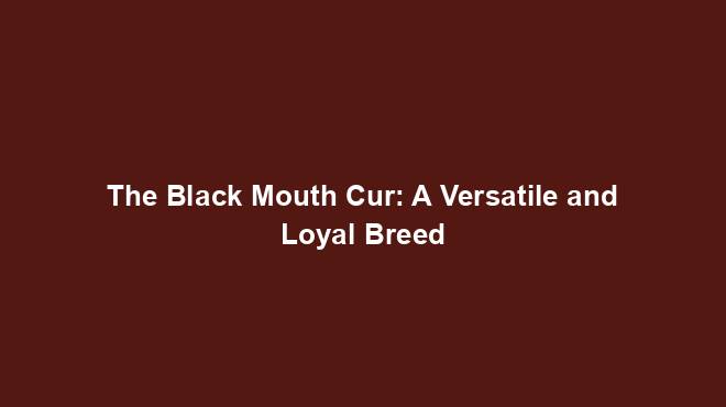 The Black Mouth Cur: A Versatile and Loyal Breed