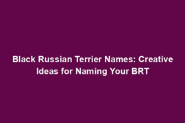 Black Russian Terrier Names: Creative Ideas for Naming Your BRT