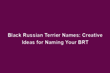 Black Russian Terrier Names: Creative Ideas for Naming Your BRT