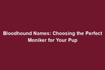 Bloodhound Names: Choosing the Perfect Moniker for Your Pup