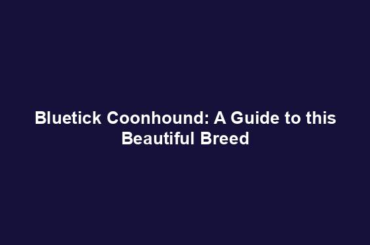 Bluetick Coonhound: A Guide to this Beautiful Breed