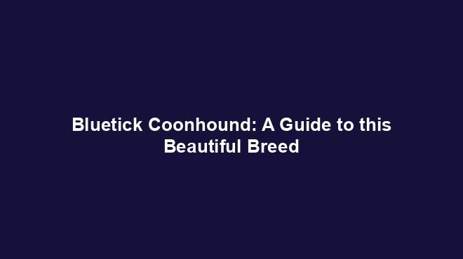 Bluetick Coonhound: A Guide to this Beautiful Breed