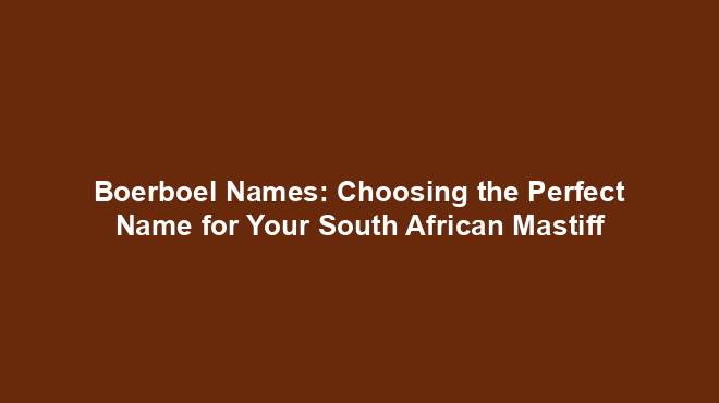 Boerboel Names: Choosing the Perfect Name for Your South African ...