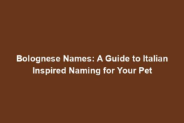 Bolognese Names: A Guide to Italian Inspired Naming for Your Pet