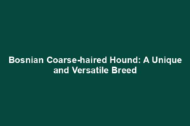 Bosnian Coarse-haired Hound: A Unique and Versatile Breed