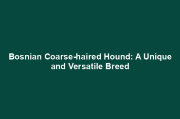 Bosnian Coarse-haired Hound: A Unique and Versatile Breed