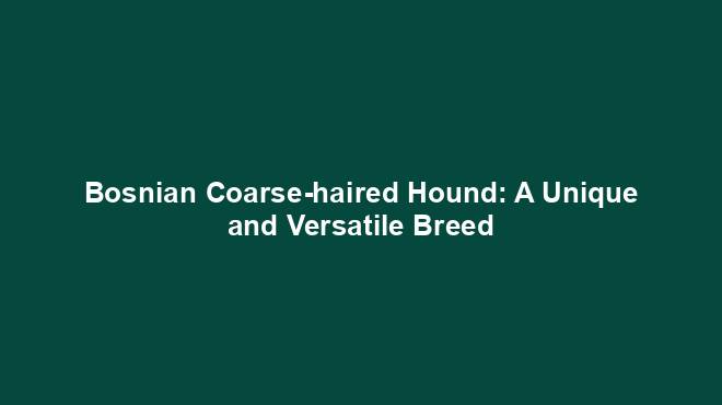 Bosnian Coarse-haired Hound: A Unique and Versatile Breed