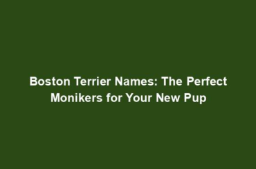 Boston Terrier Names: The Perfect Monikers for Your New Pup