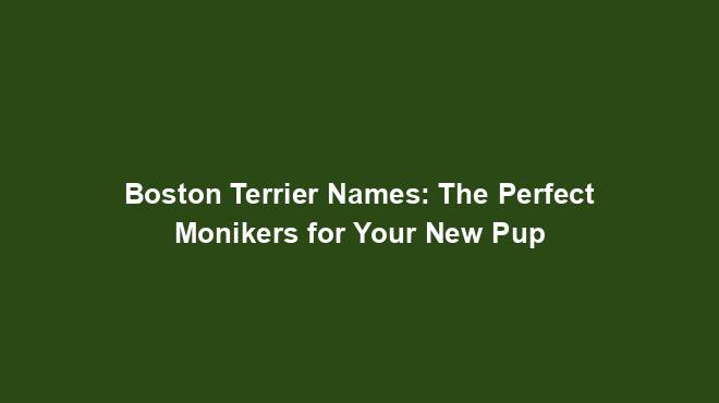 Boston Terrier Names: The Perfect Monikers for Your New Pup